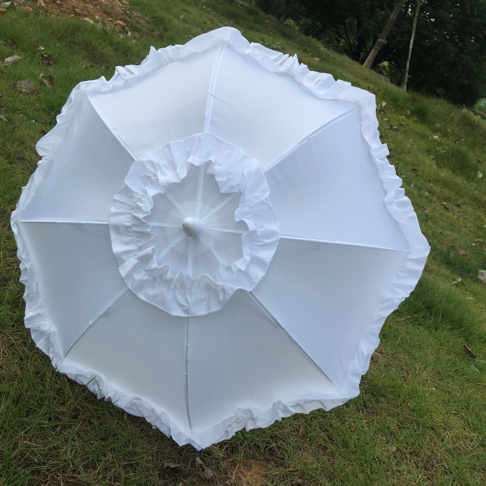 Lolita Umbrella эмбрион