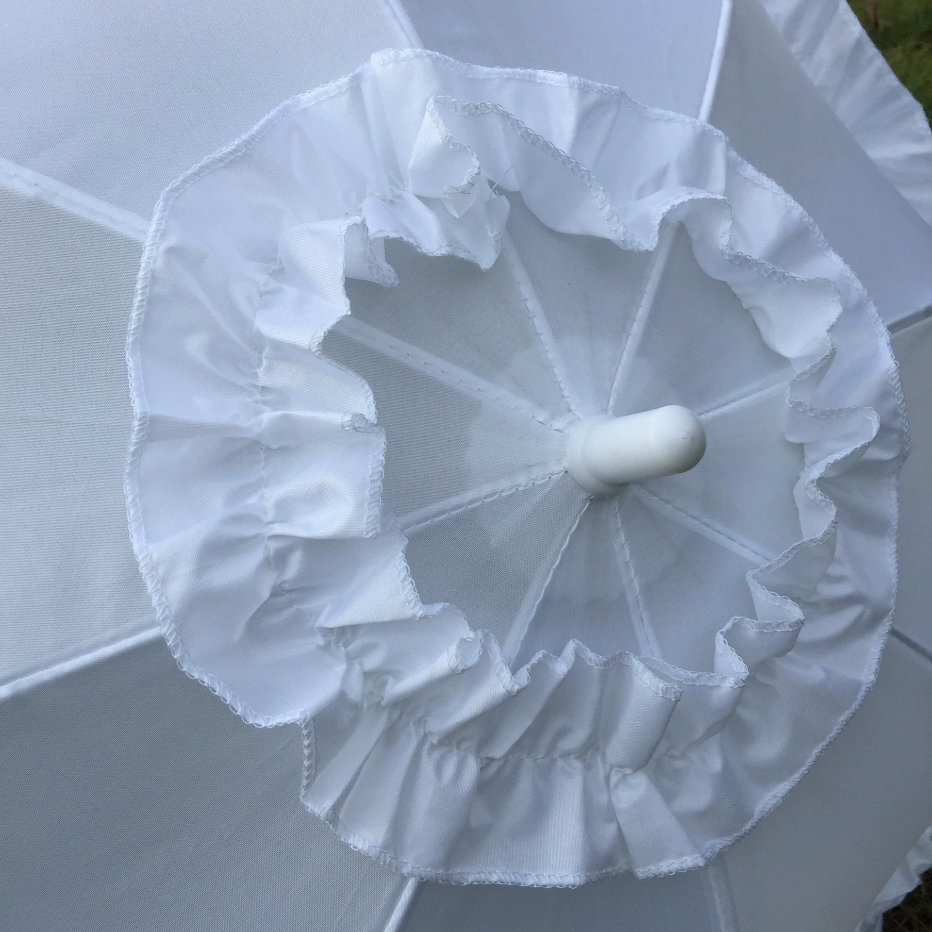 Lolita Umbrella эмбрион
