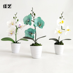 �S�����l���滨�����k������c�[�����ϻ�����������m�������b