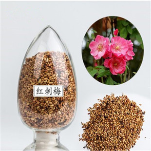 �t��õ�N�� ֱ�N �S��õ�N�� �Nޱ�N�Ӽt��õ õ��N�� ����ă�