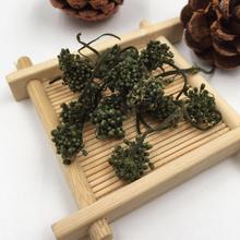 长白山人参花东北特产大参花泡茶泡水新鲜大花蕾人参花野生批发