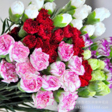 ȫ�깩Ӧ ��ɫ����ܰ ���˸�Ů�� ĸ�׽��û� �ɲ�ƿˮ�� ���ڳ�