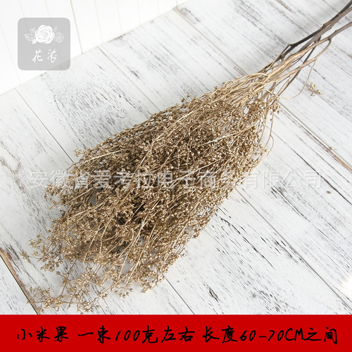 Preserved flower DIY material, star anise preserved millet fruit, preserved flower gift box glass cover garland material