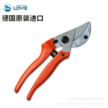 �¹�ʨ�Ƽ���15.104��֦����15107԰��԰�չ��߼���������֦����