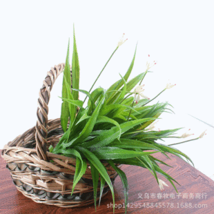 ؃rl滨 ҹ WʽҾb͏db