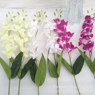 ���滨���l ��֧���m ��ػ�ˇ �������m�����ٻ��b�