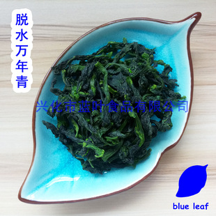 Óˮ��̦ Óˮ���� �ϙ�� Óˮ�f���� AD�f���� ���̦ �����