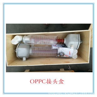 ����OPPC���|�K�˽��^�� �^���ӽ��m�ЏS�� �r��
