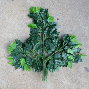 �����Ř��~ �y���~ ���̘�֦�@���b����~ �٘��~�^�z�Ř�֦