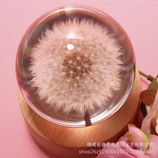 ���ֶY����С�YƷ�ѹ�Ӣˮ����ҾӘ�֬��ˇ��Ů���ф���ҾӔ[��