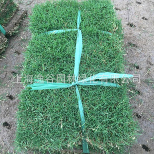 ������Ľ���ƺ ��Ľ���ƺ��Ƥ С�^�e���ò�Ƥ ���ع���