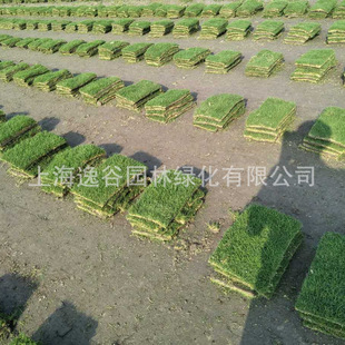 ��Ľ���Ƥ  ��Ľ���ƺ ��������ƺ  �e��ͥԺ �o�²�ƺ ���@��