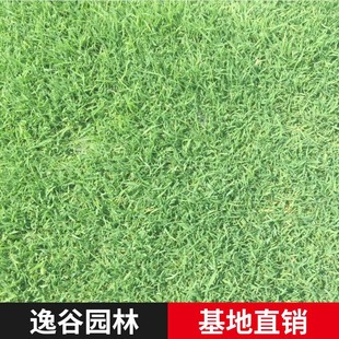 ������Ľ���ƺ ��Ľ���ƺ��Ƥ ��Ľ������ݻ첥��ƺ