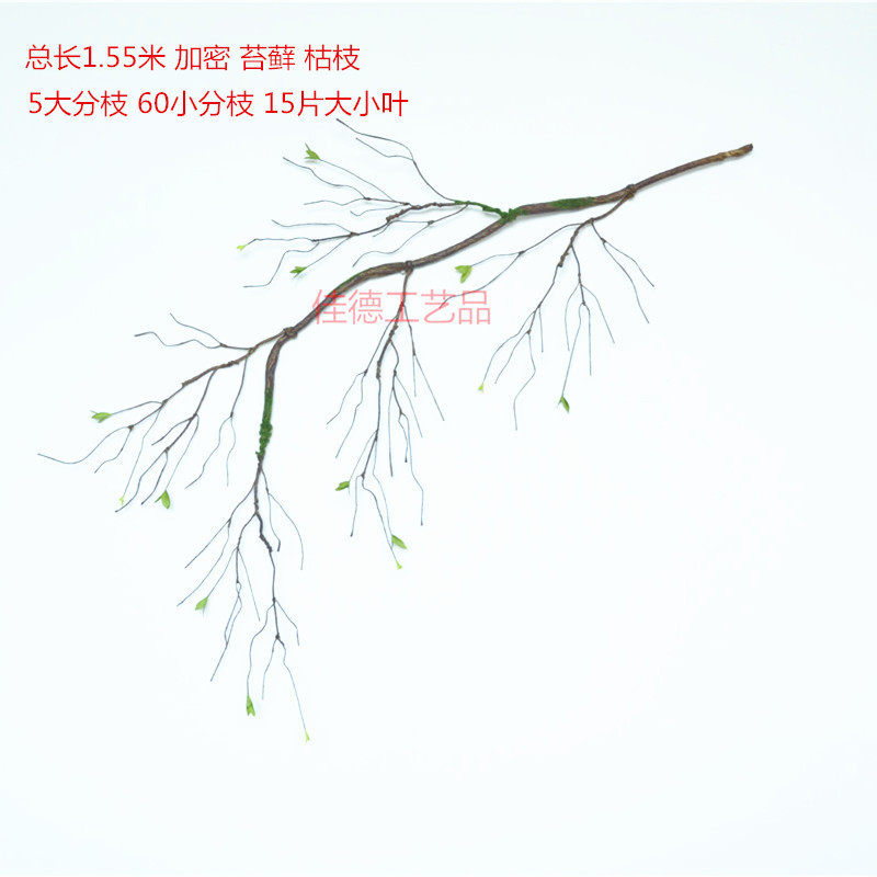 1.5 m 가지