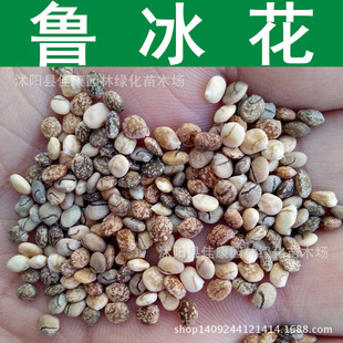 �ݻ��N�� �������N�� ���� ���ȶ��N��  1��=1��