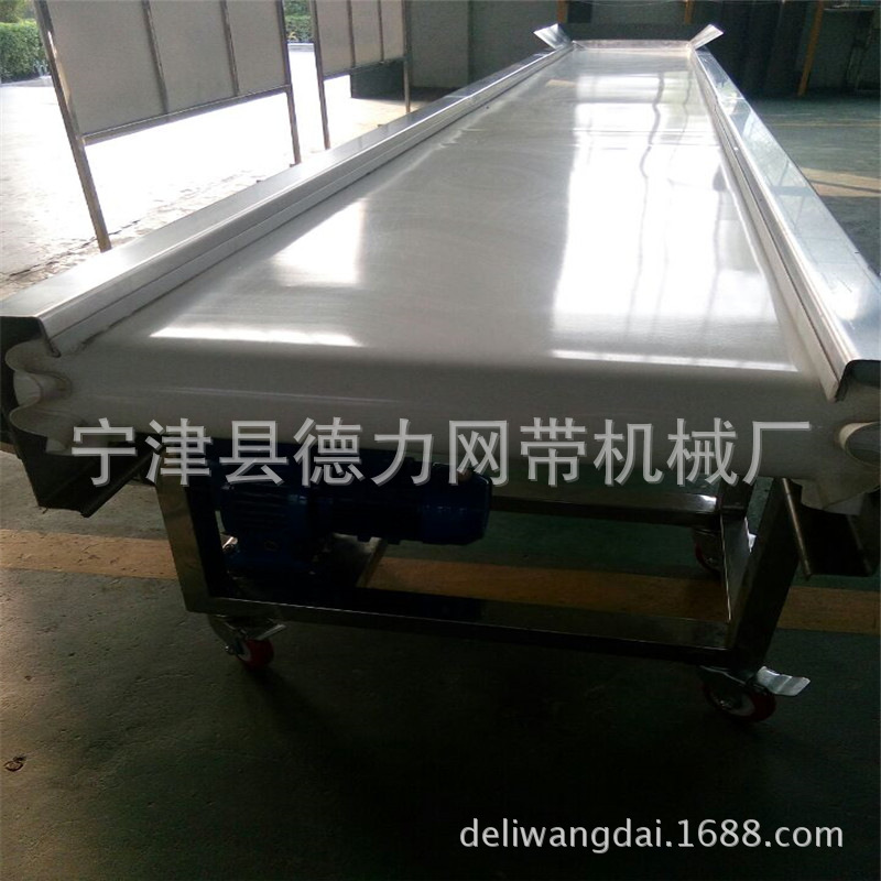 食品皮带输送机 食品皮带爬坡输送机 水果辣椒提升机