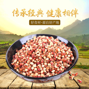 ���l������ �|�������� �pɫ�� �s�Zˌ�������25kg