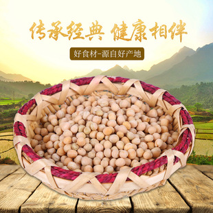 ���l���㶹 ���㶹�SȥƤȥƤ�㶹�ʶ��Wԭ�����㶹49����㶹