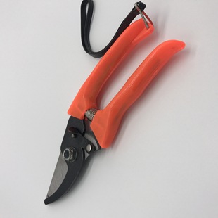 702 Fruit Picking Shears Plastic Handle Flower Branch Shears Garden Shears Tree Branch Shears Fruit Branch Shears Pruning Shears Card