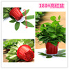 Qingye Ya Gahong Red Pot Green Loose Base Wholesale 180#Green Loom Store Water Storage Green Potted Planting Formaldehyde