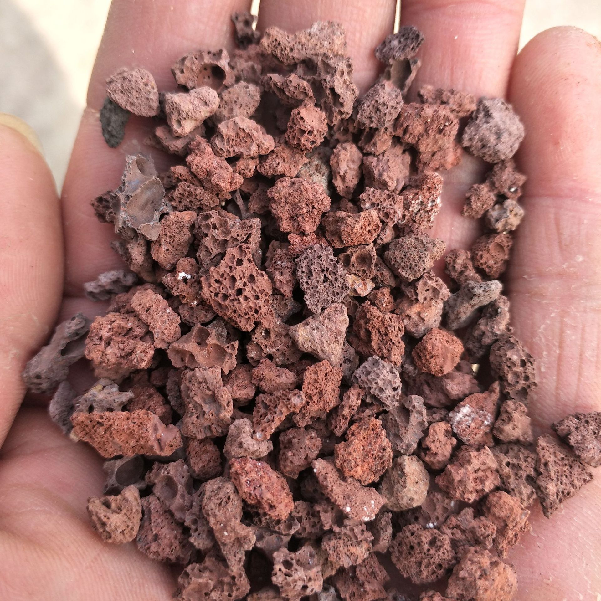 批发红色多肉植物铺面用3-6mm火山石颗粒园艺火山岩大块多肉铺面