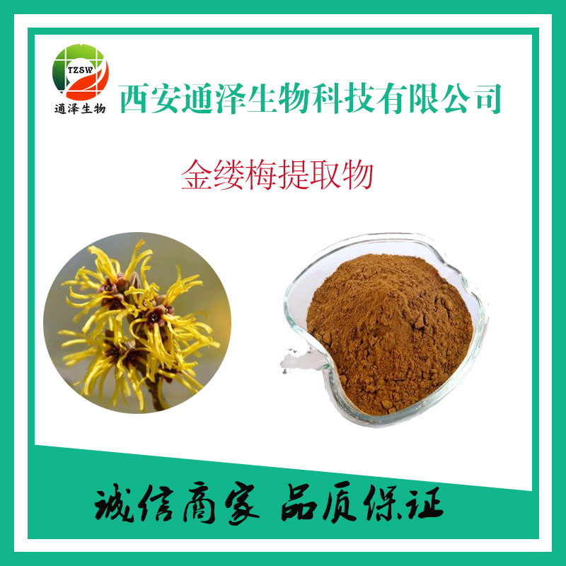 金缕梅提取物 现货供应 金缕梅提取物10：1 金缕梅纯粉  金缕梅