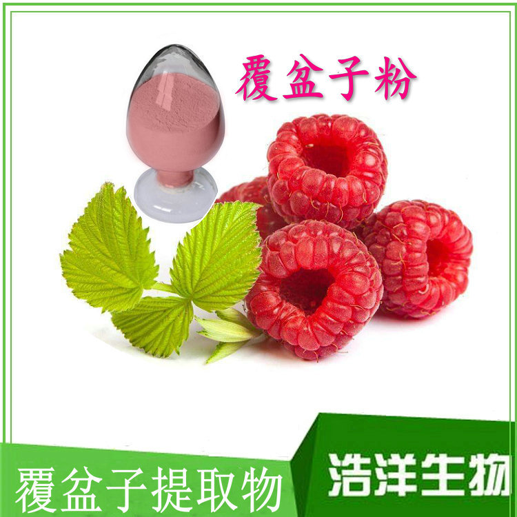 树莓提取物 水溶树莓果粉 覆盆子提取物 树莓粉
