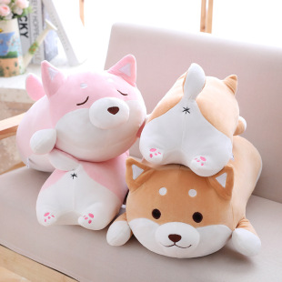 �ɐ��ֲ�С����������ë�q���ſſ�����޴�̖�»�˯�X�����L�l��