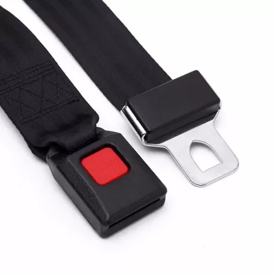cage car School Bus – Car seat belt