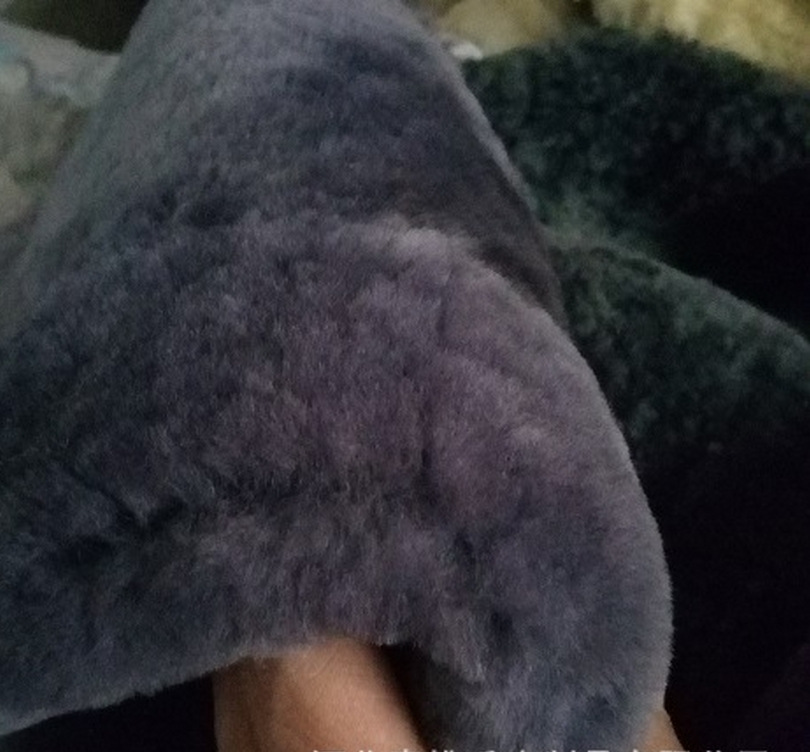 보라색