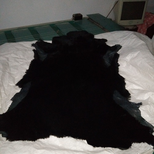 블랙