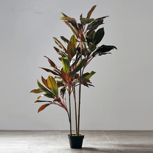 ����辰�[���Ҿӿ͏d���b���k����ܛ�b�Ʒ��t�F��Gֲ����Gֲ