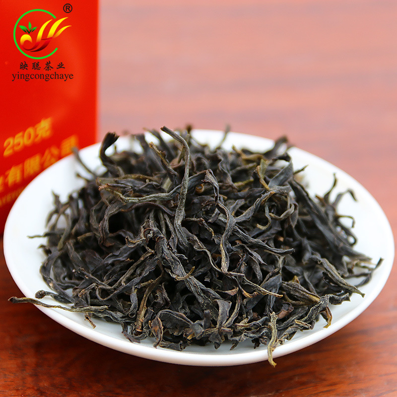 Ancient tree Tea Garden old fir saw flower single fir tea Wudao Mountain Phoenix single cluster tea leaf Chaozhou Yingcong tea industry