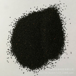 ��õ���Ѻ�����Ĥõ�庣����Ĥ���m�������lõ����
