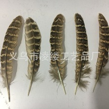 出售鸡毛母山鸡毛 花纹羽毛戏曲翎子羽毛工艺品装饰羽毛插帽子配