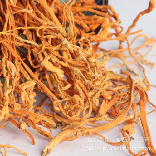 Kangwang Gutian Cordyceps Flower Dried Goods 500g Grass Exhaust/Unorganized Grass Spore Head Cordyceps Flower Source Factory Direct Sales Wholesale