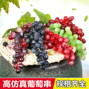 2025���������ٗl��˪PUע�ܹ�ˇ�����b�ˮ���Gֲ�Ҿ��Ĕz�����