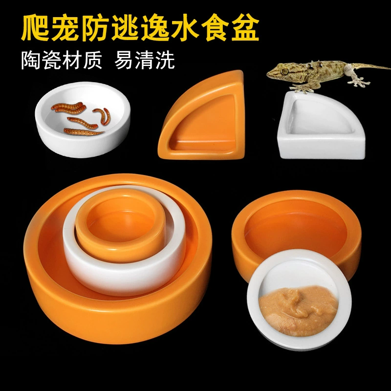 Рептилия предотвращает побег