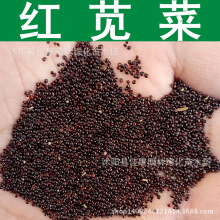 �t�{�˷N�� �����{ �t�� ���˷N�� ǧ�˹� 1��=1��