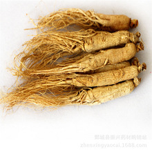 ���񅢡����d��ș����ș�����l�������ׅ���  ����