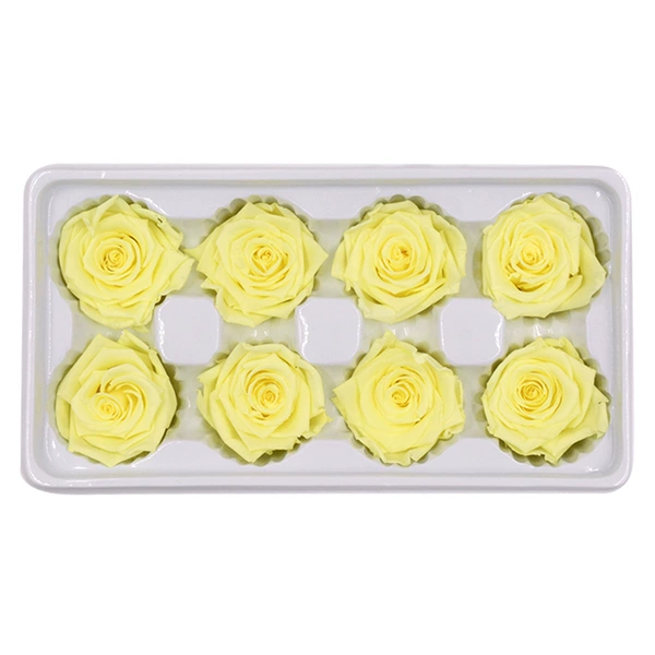 Shallow yellow