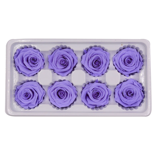 Shallow purple Roland