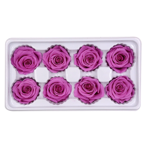 Pale pinkish purple