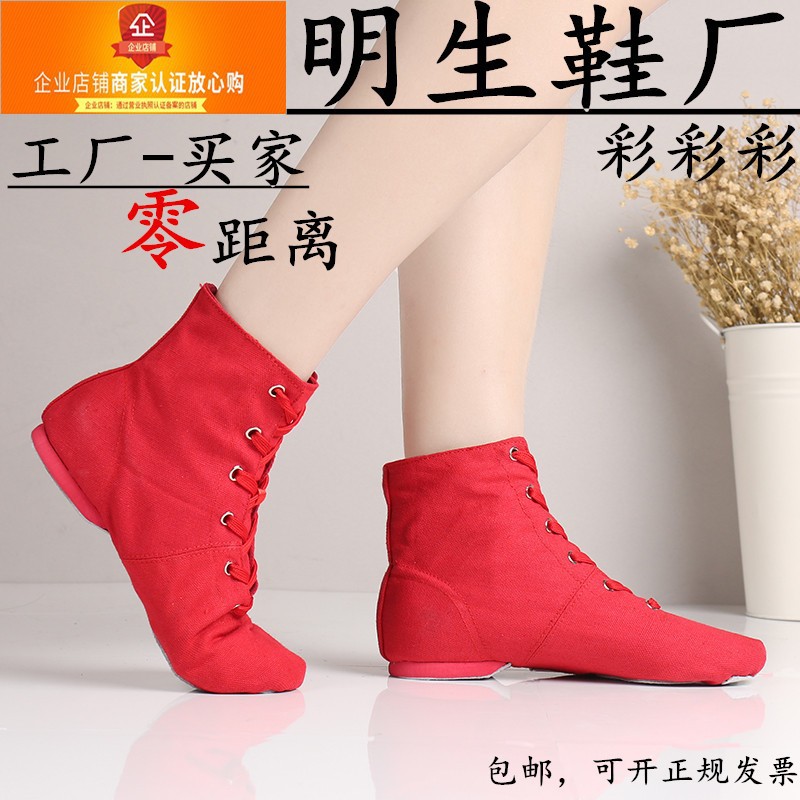 Zapatos de baile de alta altura para niños adultos zapatos de ballet zapatos de baile planos altos zapatos de ejercicio de fondo suave para mujer zapatos de baile para mujer