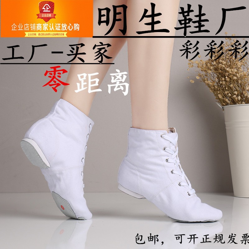 Zapatos de baile de alta altura para niños adultos zapatos de ballet zapatos de baile planos altos zapatos de ejercicio de fondo suave para mujer zapatos de baile para mujer