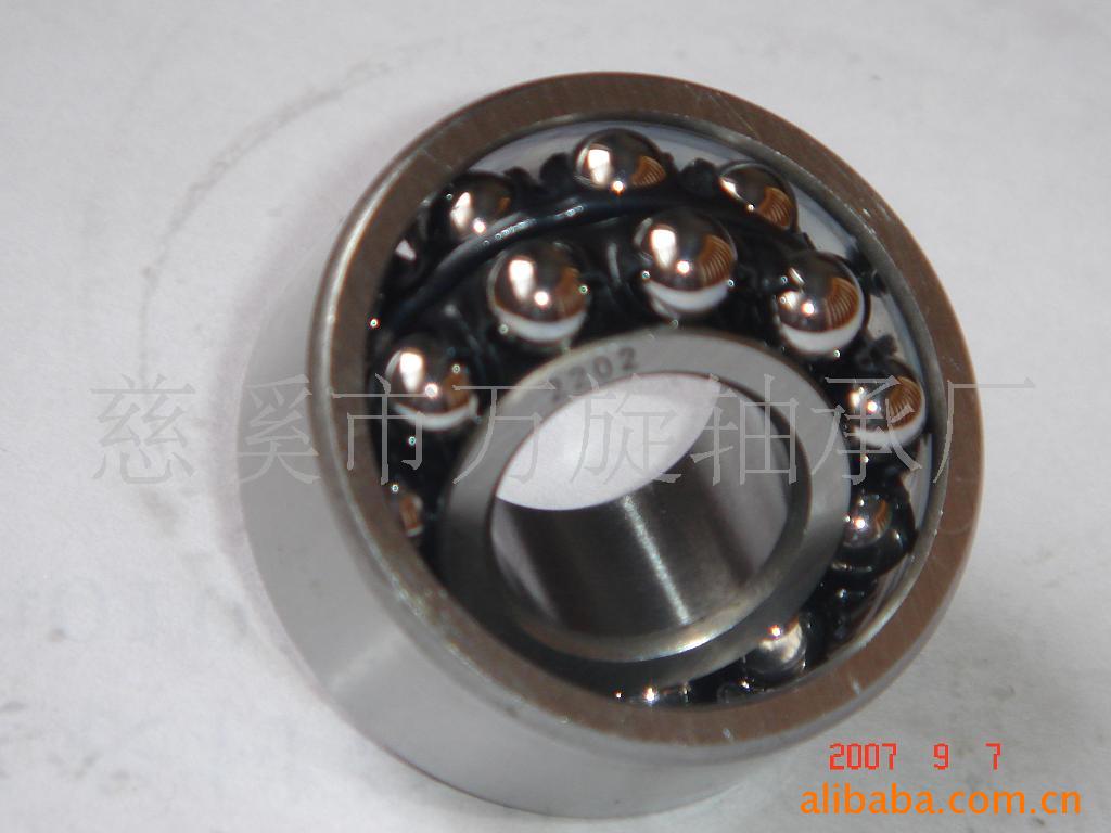 供应2202震动棒轴承