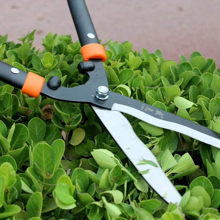 Тайваньские фитильные садовые инструменты секаторы Ножницы для зеленой травы садовые ножницы черная ручка волна большие плоские ножницы моделирование защиты садовых растений