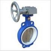 D371F-10C对夹四氟蝶阀