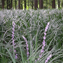 �m������ ɽ�|���ݴ������� �޸��ݻ��m������ ���@ �G�������û�