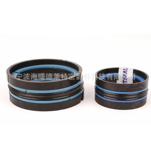 供应进口DAS,组合式活塞用密封